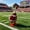 923-D, variant on Lzobxe Porch Goose Clothes Sunflower Goose Costume, Spring Geese Clothes with Sunglasses and Straw Hat for Seasonal Yard Lawn Patio Garden Outdoor