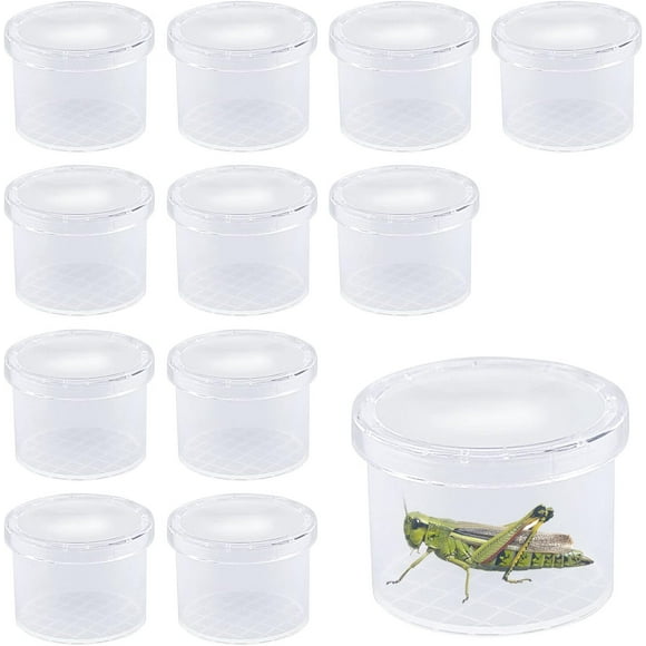 12Pcs Magnifying Insect Container Bug Viewer Insect Cage Bug Catcher Bug Magnifier Container Insect Magnifier Bug Catcher for kids Plastic Insect Boxes for Kids Science Nature Exploration