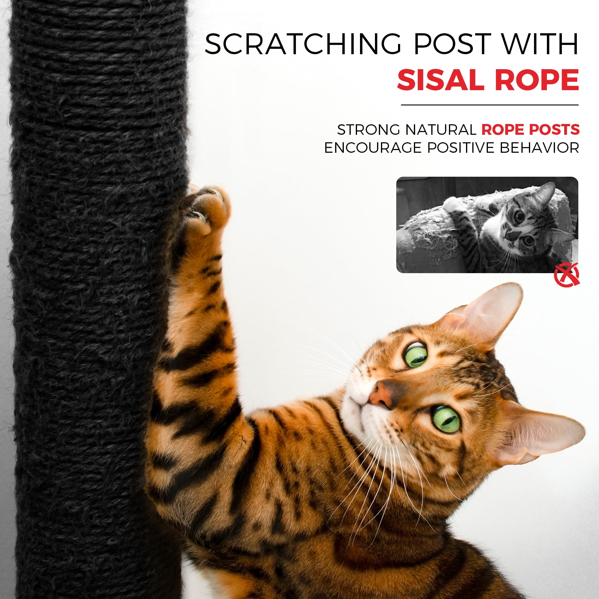 Gothic Cat Tree, Coffin-Shaped Platform, Soft Cushion, Scratching Posts, Halloween Home Decor