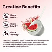 FLAT TUMMY Pre Workout Watermelon (30 Count) – 3g Creatine, 1.6g Beta-Alanine, Sugar Free