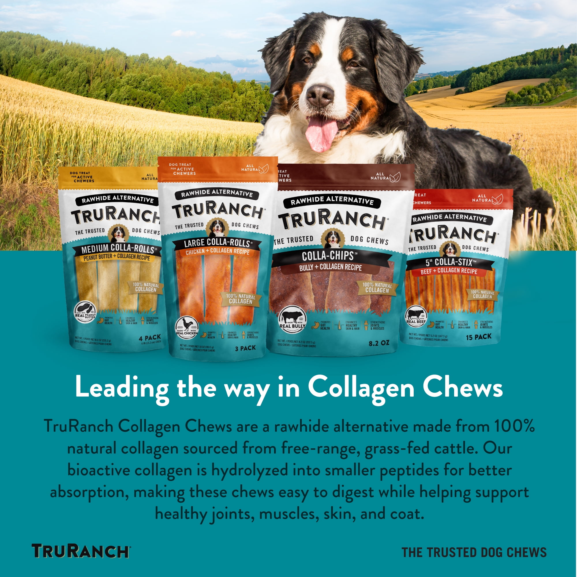 (2 pack) TRURANCH Collagen Rolls - 9" Collagen Rolls for Dogs - Long Lasting Healthy Joint Support Dog Treat - Rawhide Alternative - Skin & Coat Health - Made with Real Chicken, 1 Bag, 3 Count