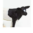 thumbnail image 4 of Safari Ltd. Holstein Calf Figurine - Lifelike 3.25" Model Figure - Educational Toy for Boys, Girls, and Kids Ages 3+, 4 of 5