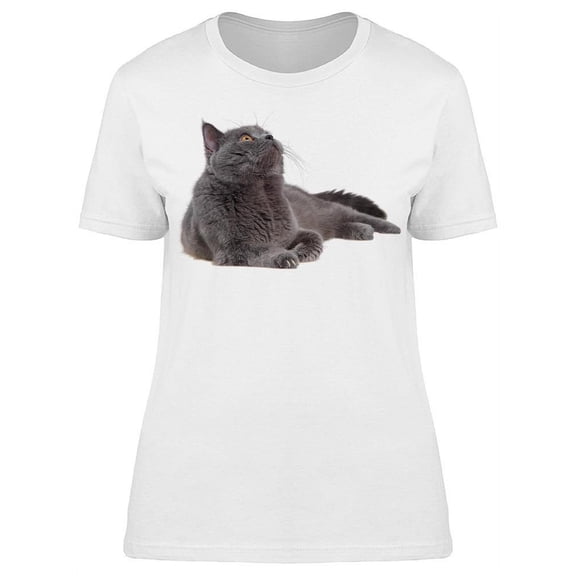 Dark Gray Fluffly British Cat T-Shirt Women -Image by Shutterstock, Female Medium