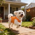 thumbnail image 3 of Adjustable Lifting Support Sling Harness For Disabled Elderly Dogs Breathable Mesh With Padded Handle Cat Walking Rehabilitation Aid Pet Mobility Assistance Comfortable Lightweight Outdoor, 3 of 3