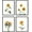 Sunflower, variant on HAUS AND HUES Framed Vintage Botanical Prints - Set of 4 Framed Farmhouse Bedroom Wall Decor, Rustic Art for Bathroom, Farmhouse Decor Pictures for Living Room, Boho Decor (11x14, Black Framed)