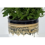 Better Homes & Gardens 8 x 8 x 6.7 Round Black Ceramic Nikolaos Plant Planter