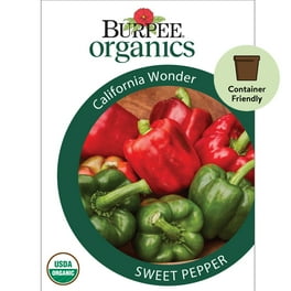 Burpee Big Red Sweet Pepper Vegetable Seed, 1-Pack - Walmart.com