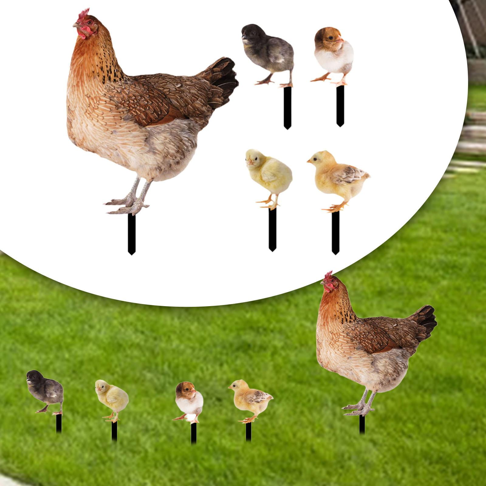 simhoa 5Pcs Hen Statue Garden Stakes Chicken Figurines Ground Insert Yard Sign Yard Art Animal Sculptures for Lawn Patio Floor Decor