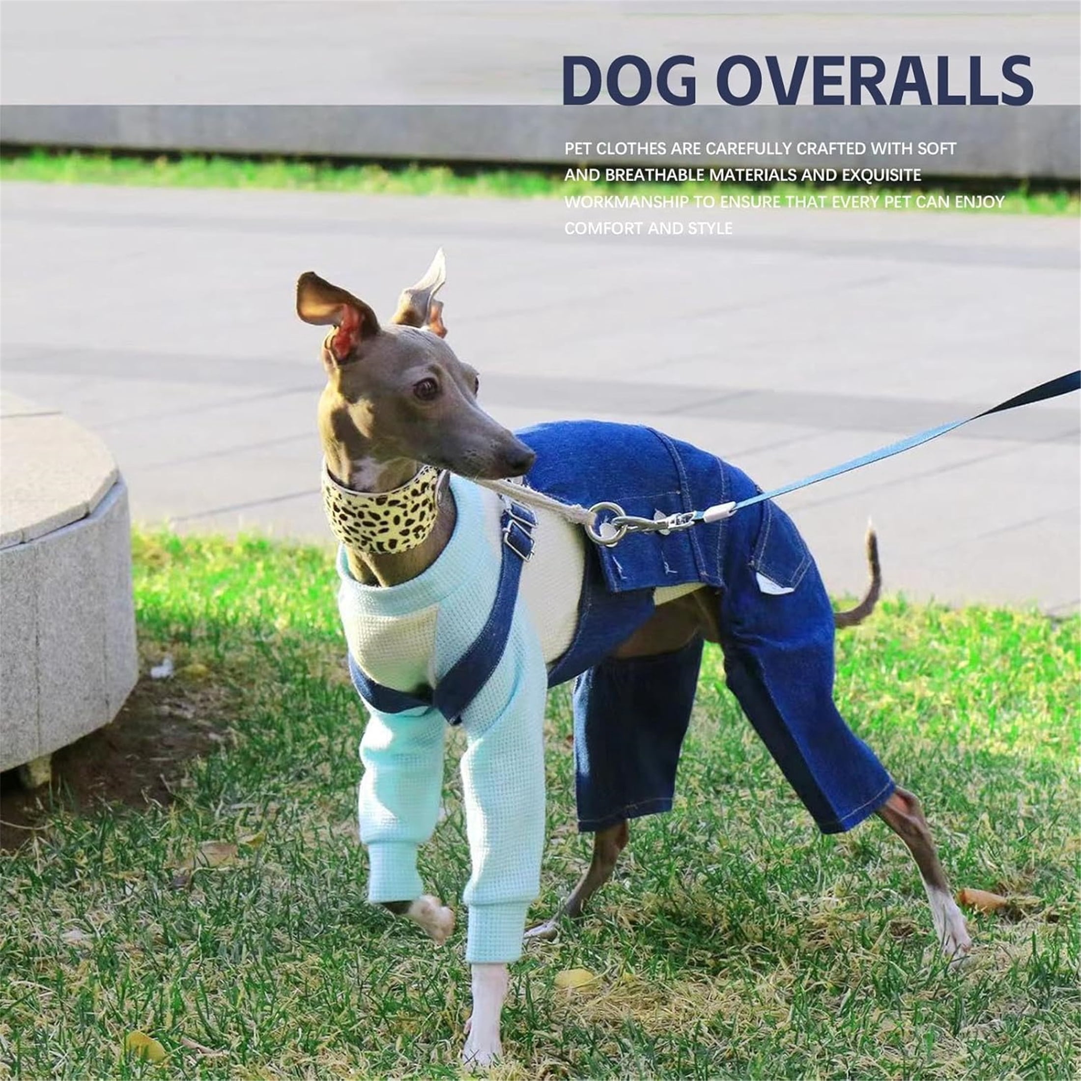 UOSIA Italian Greyhound Clothes Dog Denim Overalls Fashionable Puppy Jean Jacket