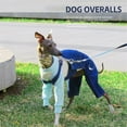 thumbnail image 5 of UOSIA Italian Greyhound Clothes Dog Denim Overalls Fashionable Puppy Jean Jacket, 5 of 6