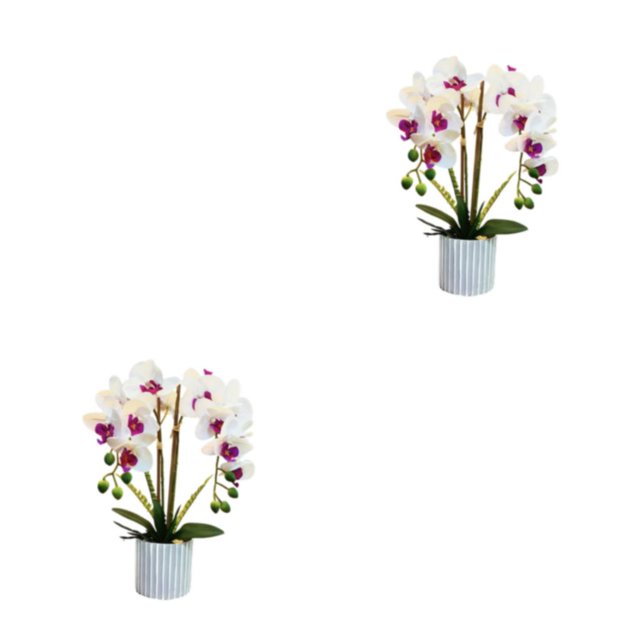 Monstrate ABS No se requiere riego Planta artificial para una fácil decoración del hogar Buena sensación de mano Bonsai Type5 NO5