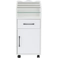 thumbnail image 5 of BarberPub Salon Cart Cabinet for Hair Stylist Barber Trolley Beauty Organizer 2013, 5 of 9
