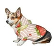 thumbnail image 6 of Goofa Strawberries Pattern Small Dog Sweater Hoodies Pet Grey Hooded Soft Fleece Sweatshirts with Pocket Fall Winter Puppy Cat Sweaters Warm Clothes-XX-Large, 6 of 8