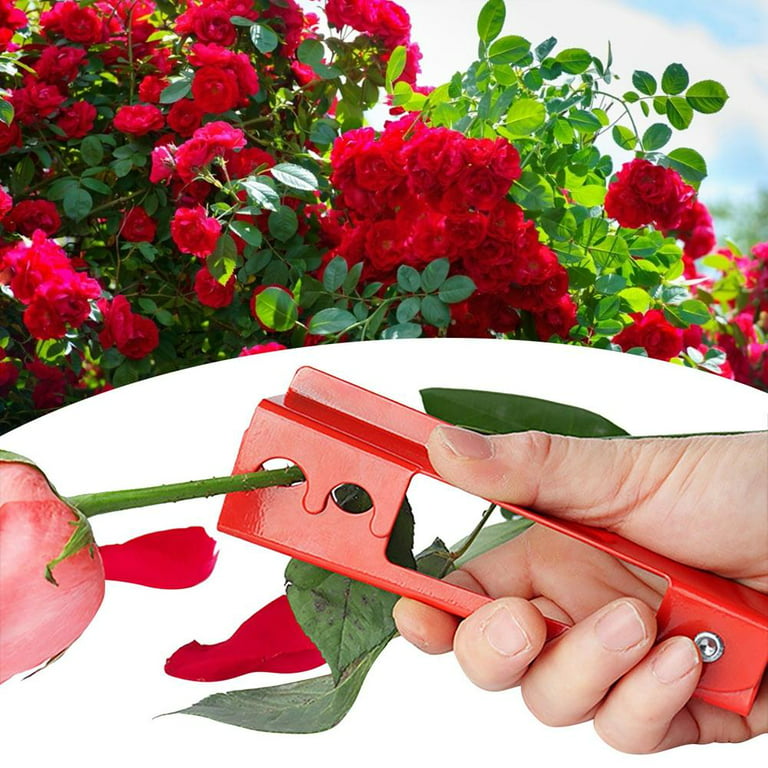 1pc Flower Stem Burr Pliers, Leaf Thorn Stripper, Rose Thorn Remover, For  Garden