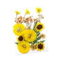 thumbnail image 4 of Flores prensadas secas, juego de flores de , hermosa artesanía, fabricación de velas, Material de fabricación DIY para pantallas de , Amarillo verde, 4 of 8