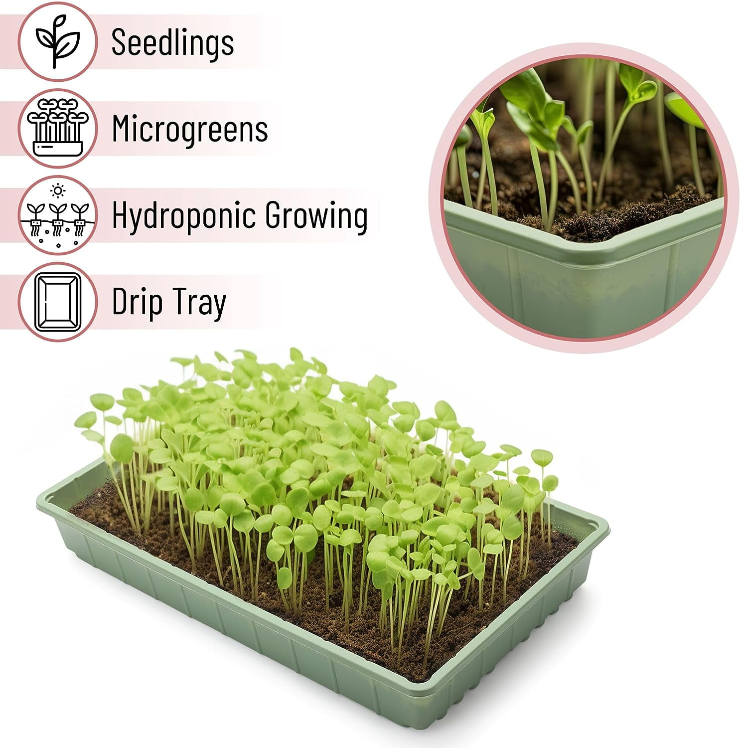 Mr. Pen- Plastic Growing Trays, 5 Pack, Assorted Colors, Plant Tray, Seed Tray, Seedling Tray