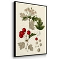 thumbnail image 3 of Leaves & Berries I - Framed Premium Gallery Wrapped Canvas L Frame 3 Piece Set - Ready to Hang, 3 of 9