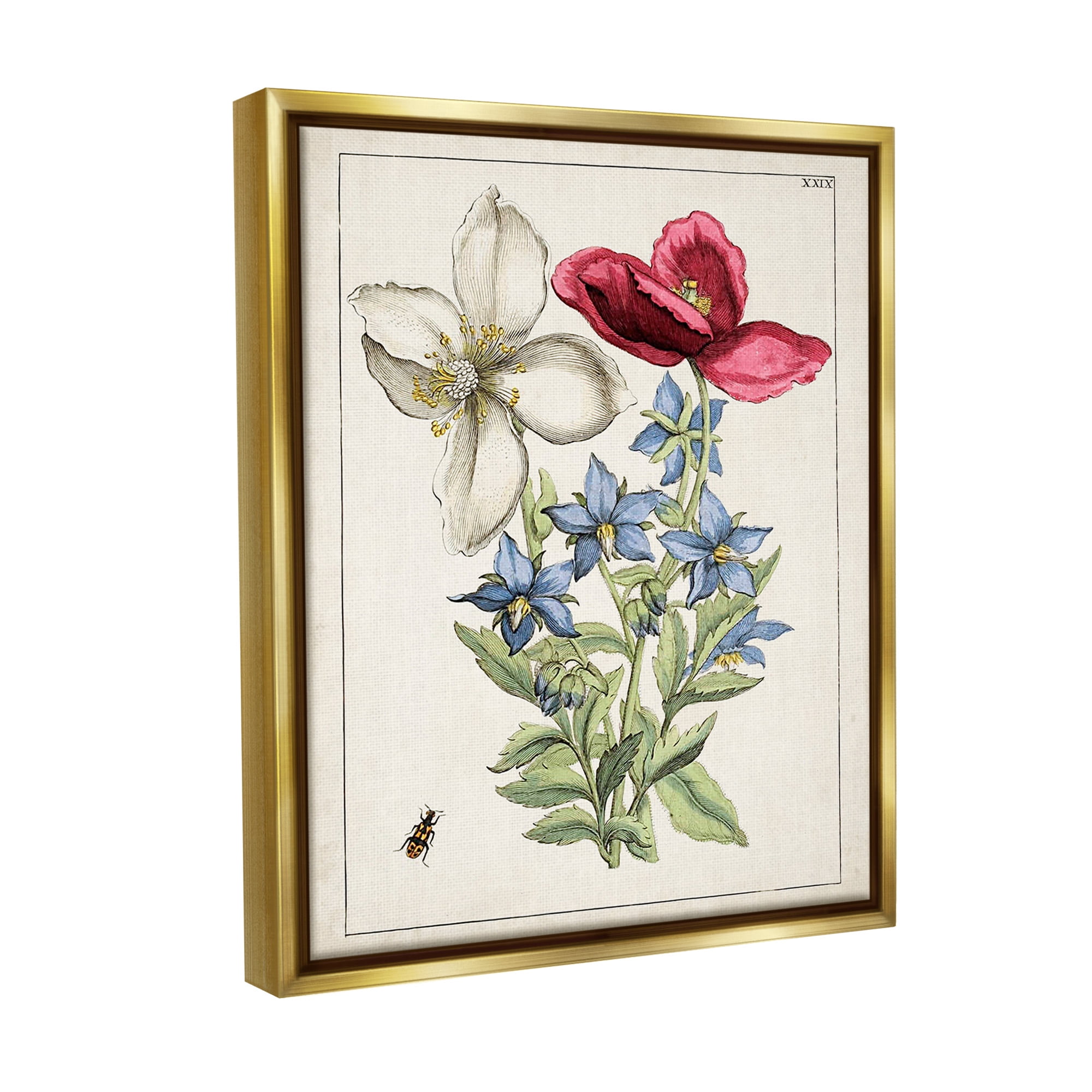 Stupell Industries Vintage Beetle & Flowers Botanical & Floral Painting Gold Floater Framed Canvas Art Print Wall Art, 25 x 31