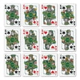 thumbnail image 2 of YouTheFan NCAA North Dakota State Bison Classic Series Playing Cards, 2 of 6