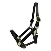 Tack Shack of Ocala Leather Draft Size Horse Halter, Brown with Solid Brass Hardware, Snap, Double Stitched