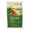 Manna Pro Organic Layer Pellets, Complete Feed for Laying Hens, 30 lbs