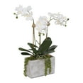 thumbnail image 4 of Jenny Silks Real Touch White Phalaenopsis Orchids, Leaves, String of Pearls in Pot - 16W x 9D x 23H, 4 of 4