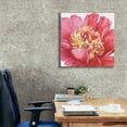 thumbnail image 3 of Epic Graffiti 'Pink Garden V' by Lisa Audit, Canvas Wall Art, 26"x26", 3 of 8