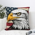 thumbnail image 4 of Fuzoiu American Bald Eagle Print Square Pillow Cover,Hidden Zipper Design,Luxury Square Pillow Case, Throw Pillow,Couch Cushion-20"x20", 4 of 7
