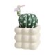 thumbnail image 2 of Planta de cactus artificial – Decoración de suculentas en maceta falsa | Acento de sala interior, baño, oficina | Olla de cerámica blanca | No se necesita mantenimiento | 6,5 pulgadas, 2 of 6