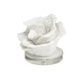 thumbnail image 6 of 6" x 4" White Polystone Small Textured Coral Sculpture with Clear Acrylic Base, by DecMode, 6 of 8