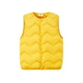 thumbnail image 3 of Godderr 2-10Y Toddler Kids Vest for Boys Girs Solid Color Cotton Waistcoats Baby Lightweight Puffer Sleeveless Jacket Unisex, 3 of 7