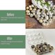 thumbnail image 5 of 100pcs 12 Grids Quail Egg Box Reusable Quail Egg Cartons Egg Storage Box Transparent Fridge Storage Box Mini Egg Dispenser With Lid For Refrigerator, 5 of 5