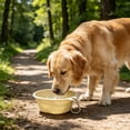 thumbnail image 6 of FEOLGEHLY Slow Feed Travel Dog Bowl Pet Bowl, Non Skid Collapsible Silicone Slow Feeding Food Water Bowl for Small Dogs and Cat Bowls for Indoor Cats Outdoor Portable Pet Dining Supplies, 6 of 6