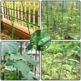thumbnail image 2 of 100 Uds. Accesorios de marco de escalada de vid de pilar de jardinería laminado, 2 of 5