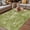 Green, variant on Black Geometric Outdoor Rug for Patio/Deck/Porch, Non-Slip Large Area Rug 3 x 5 Ft, Contemporary Minimalism Abstract Pattern Indoor Outdoor Rugs Washable Area Rugs, Camping Rug Carpet Runner
