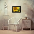 thumbnail image 4 of Fitzharris, Tim 14x11 Black Modern Framed Museum Art Print Titled - Sunflowers, 4 of 5
