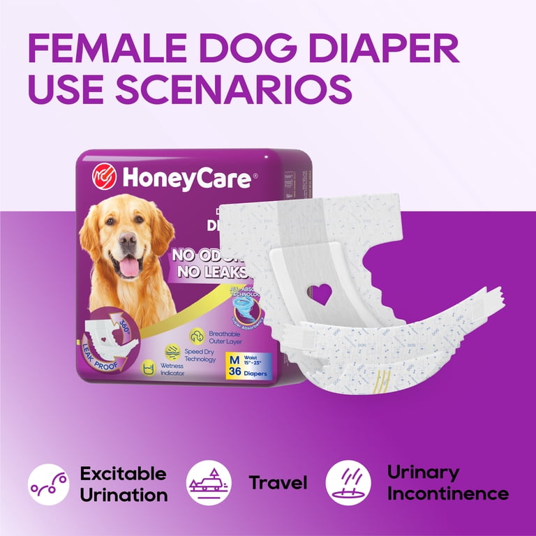 Honey Care, Female Dog Diapers, A30 36ct, Super Absorbent