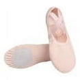 thumbnail image 2 of LJNYFDC Chaussures de Danse Douces pour Tout-Petits Chaussures de Ballet pour Filles Tissu Extensible Doux Respirant Léger Résistant à l'Usure Chaussons pour Tout-Petits, 2 of 7