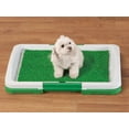 thumbnail image 2 of POTTY TRAINER, 2 of 2