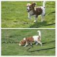 thumbnail image 4 of ATTOE Dog Lead Pet Leash Training Walk Rope Long Strong ATTOE ATTOE Black, 4 of 6