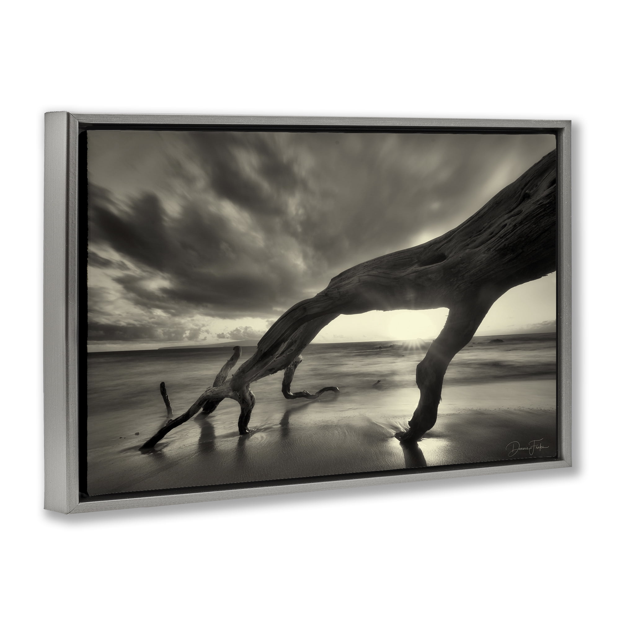 Stupell Industries Tree Trunk on Shore Landscape Photography Gray Floater Framed Canvas Art Print Wall Art, 25 x 17