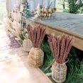 thumbnail image 5 of Ramo de hierba de pampa seca natural oso de fresa 30 piezas 60 cm Decoración marrón para bodas hogares, 5 of 5