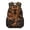Chinese Dragon, variant on Kids School Backpack Bearded Dragon 16 Inch Water-Resistant Polyester Lightweight Bookbag with Multiple Pockets for Elementary Primary School Boys Girls