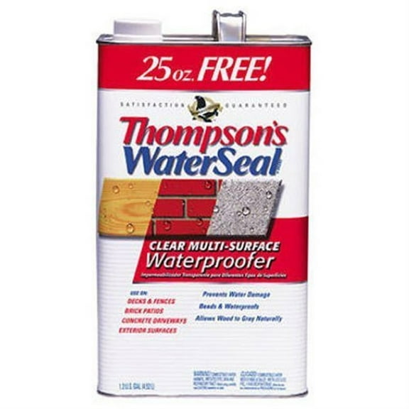 Thompson's Waterseal 24111 Multi-Surface Water Sealer, Clear, Bonus Size, 1.2-Gallons