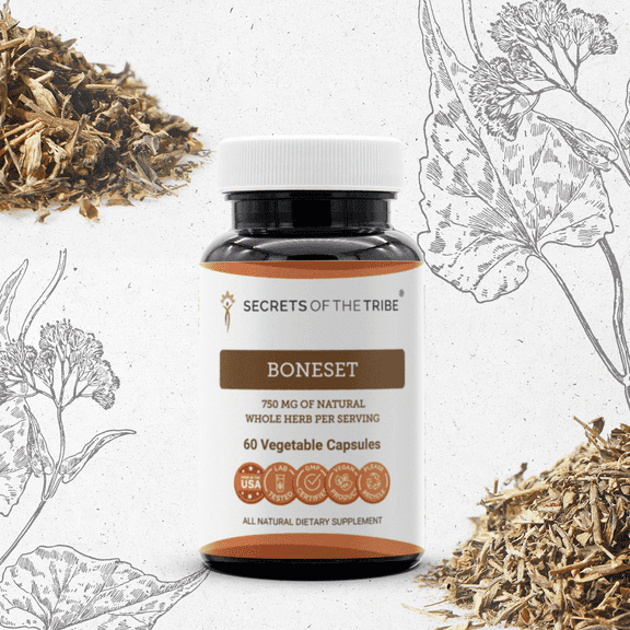 Secrets Of The Tribe Boneset Capsules Dietary Supplement, Natural Herbal Capsules for Immune Support, Boneset (Eupatorium perfoliatum) Dried Herb, 60 Capsules