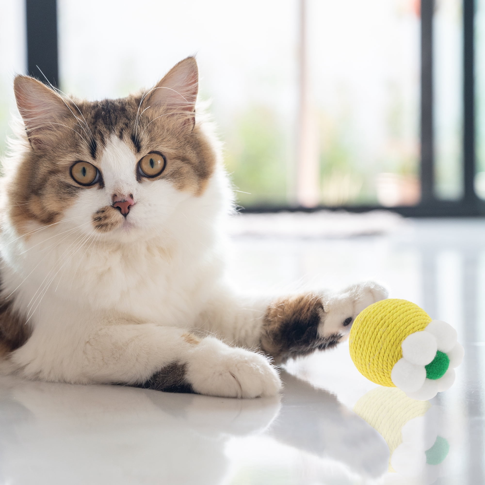 Unique Bargains Safe Teeth Cleaning Chew Balls Yellow