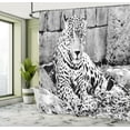thumbnail image 5 of Ambesonne Jungle Shower Curtain, Wild Tiger Jaguar, 69"Wx70"L, Black White, 5 of 5