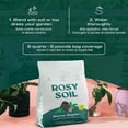 thumbnail image 6 of Rosy Soil Biochar Booster Soil Amendment, Organic Biochar for Plants, Improves Soil Health & Water Retention, for Gardens, Raised Beds & Indoor Plants, 8 qt, 6 of 8