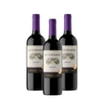 thumbnail image 1 of Pack De 3 Vino Tinto Concha Y Toro Merlot 750Ml, 1 of 3