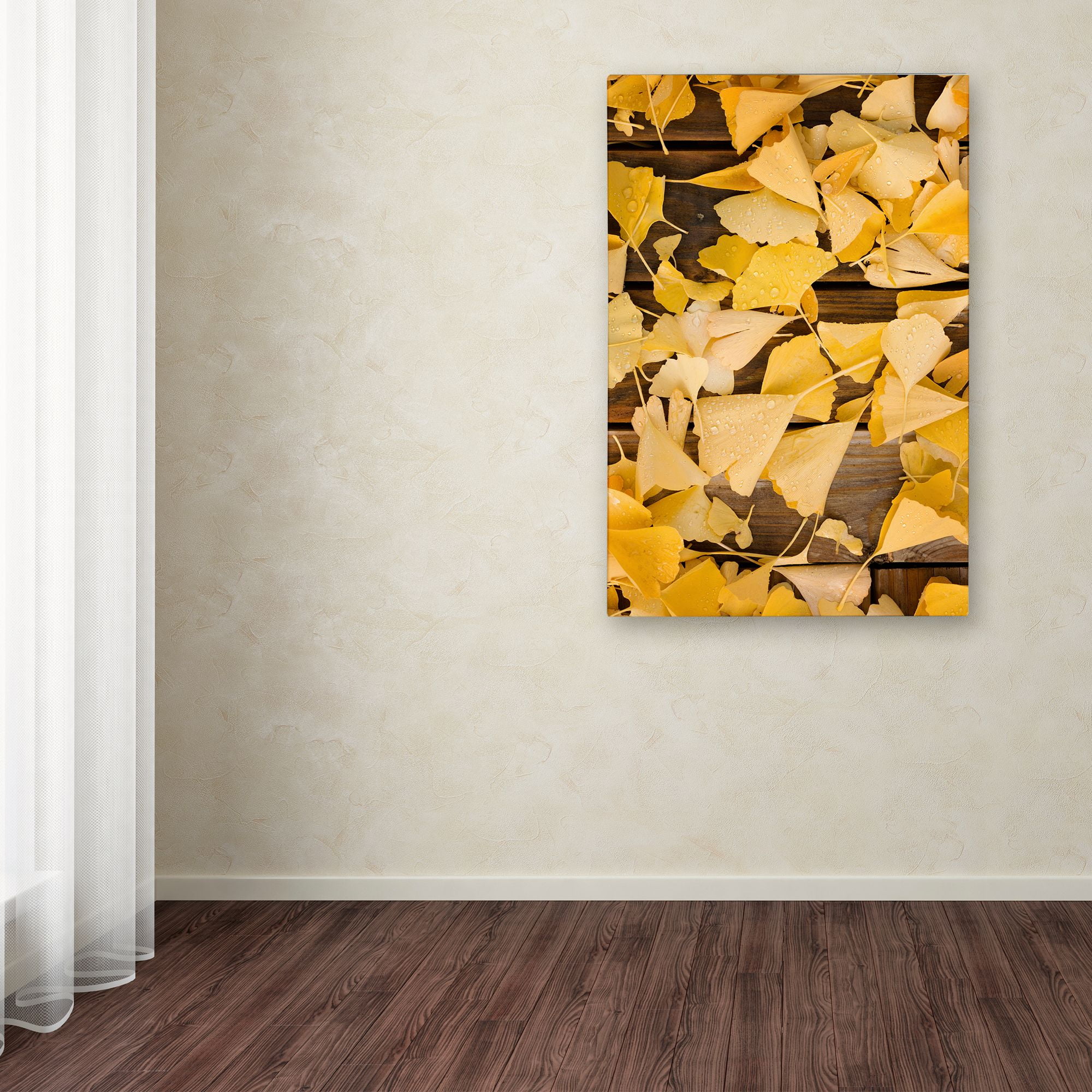 Trademark Fine Art Quadro Philippe Sainte-Laudy 'Brilliant Fall Color' – Paesaggio Autunnale, 30x47 Pollici, Tela Gallery-Wrapped, Made In USA